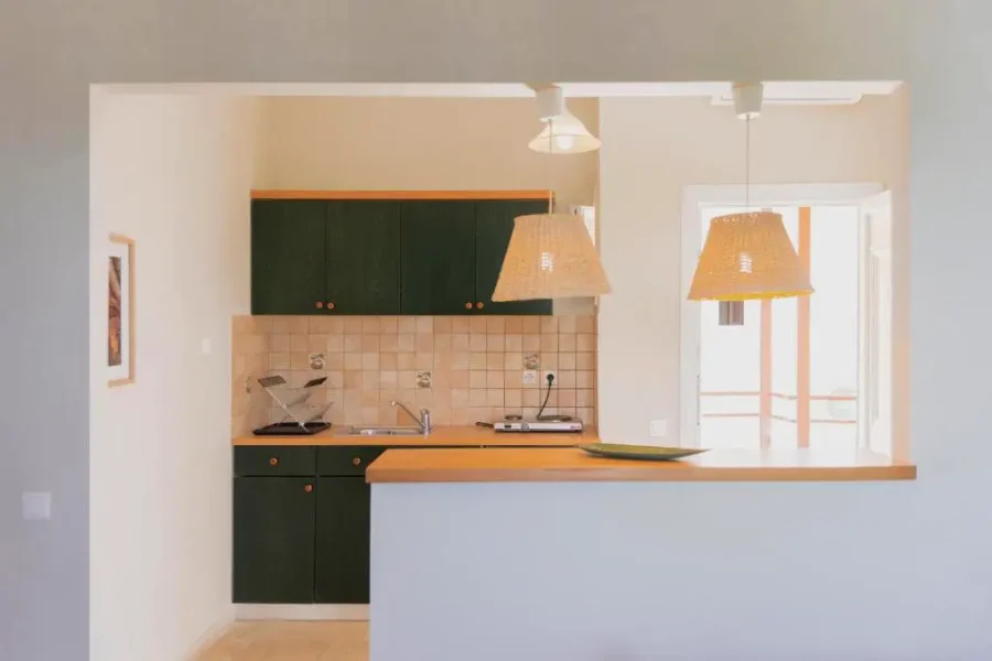 Fully equipped kitchenette at Kamini Apartments Kavos featuring dark green cabinetry, a stovetop, sink, and a modern wooden breakfast bar.