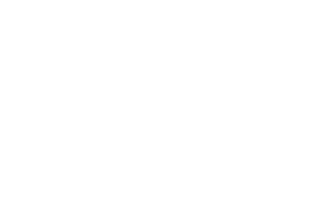 Kamini Logo White