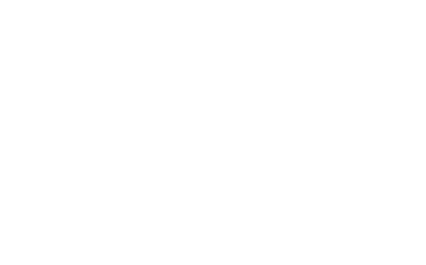 Kamini Logo White Kamini Logo White