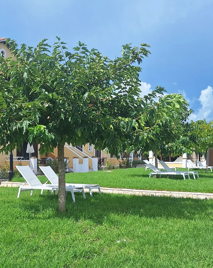 Seaside garden at Kamini Apartments in Kavos, Corfu, featuring white sunbeds on a green lawn with a view of the calm blue sea and private pier.